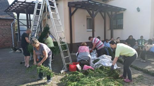 IMG 20240430 171134-Mittel