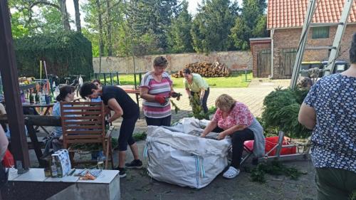 IMG 20240430 171218-Mittel