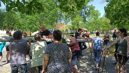 IMG 20240501 103025-Mittel