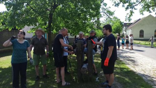 IMG 20240501 103124-Mittel