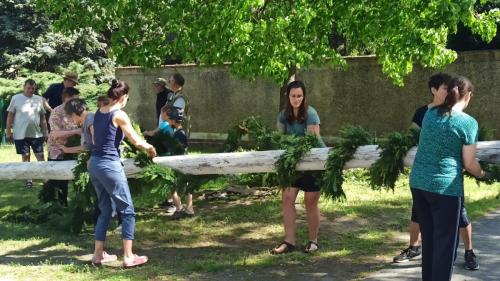 IMG 20240501 105045-Mittel