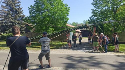 IMG 20240501 111629-Mittel