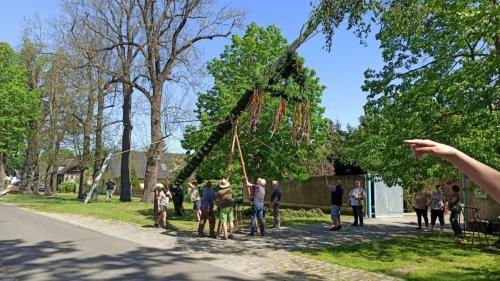 IMG 20240501 112811-Mittel