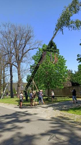 IMG 20240501 112826-Mittel