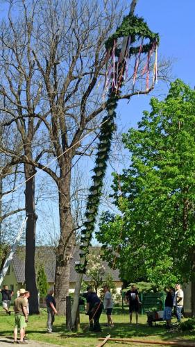 IMG 20240501 112931-Mittel