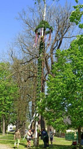 IMG 20240501 113007-Mittel