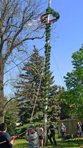 IMG 20240501 113030-Mittel