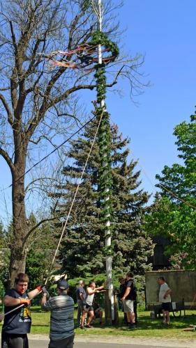 IMG 20240501 113158-Mittel