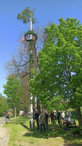 IMG 20240501 113624-Mittel