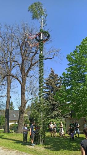 IMG 20240501 114541-Mittel