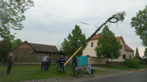 maibaum04