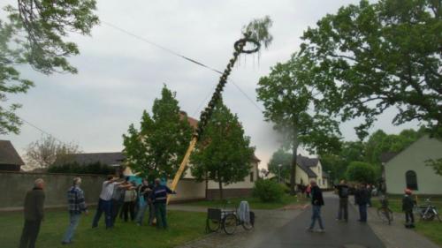 maibaum06