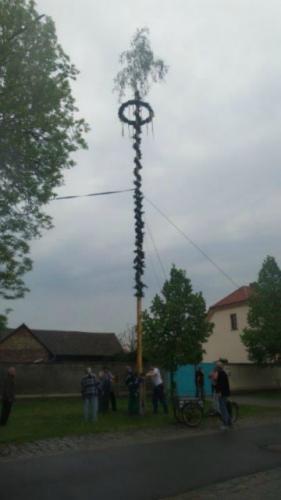 maibaum07