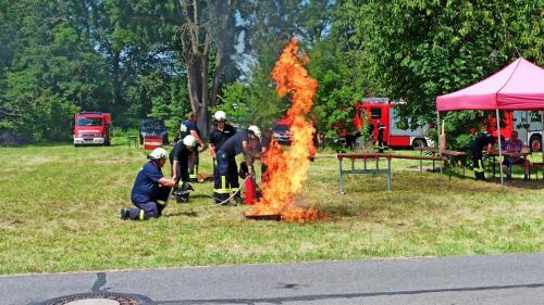 IMG 20240720 114454-Mittel