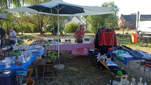 IMG 20240908 101326-Mittel