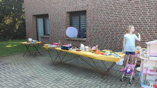 IMG 20240908 103818-Mittel