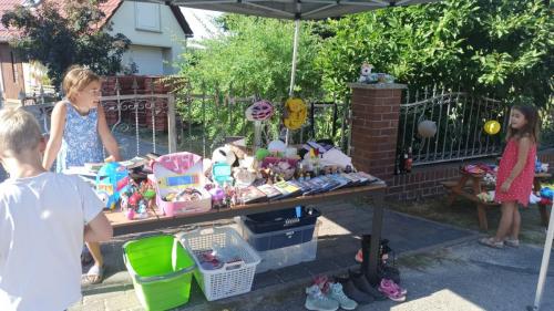 IMG 20240908 104644-Mittel