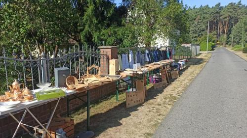 IMG 20240908 104720-Mittel