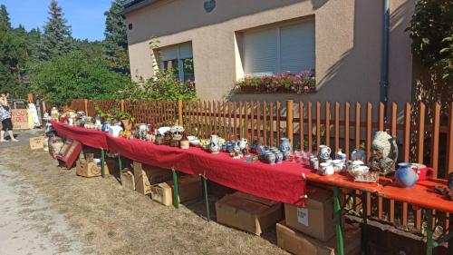 IMG 20240908 104733-Mittel